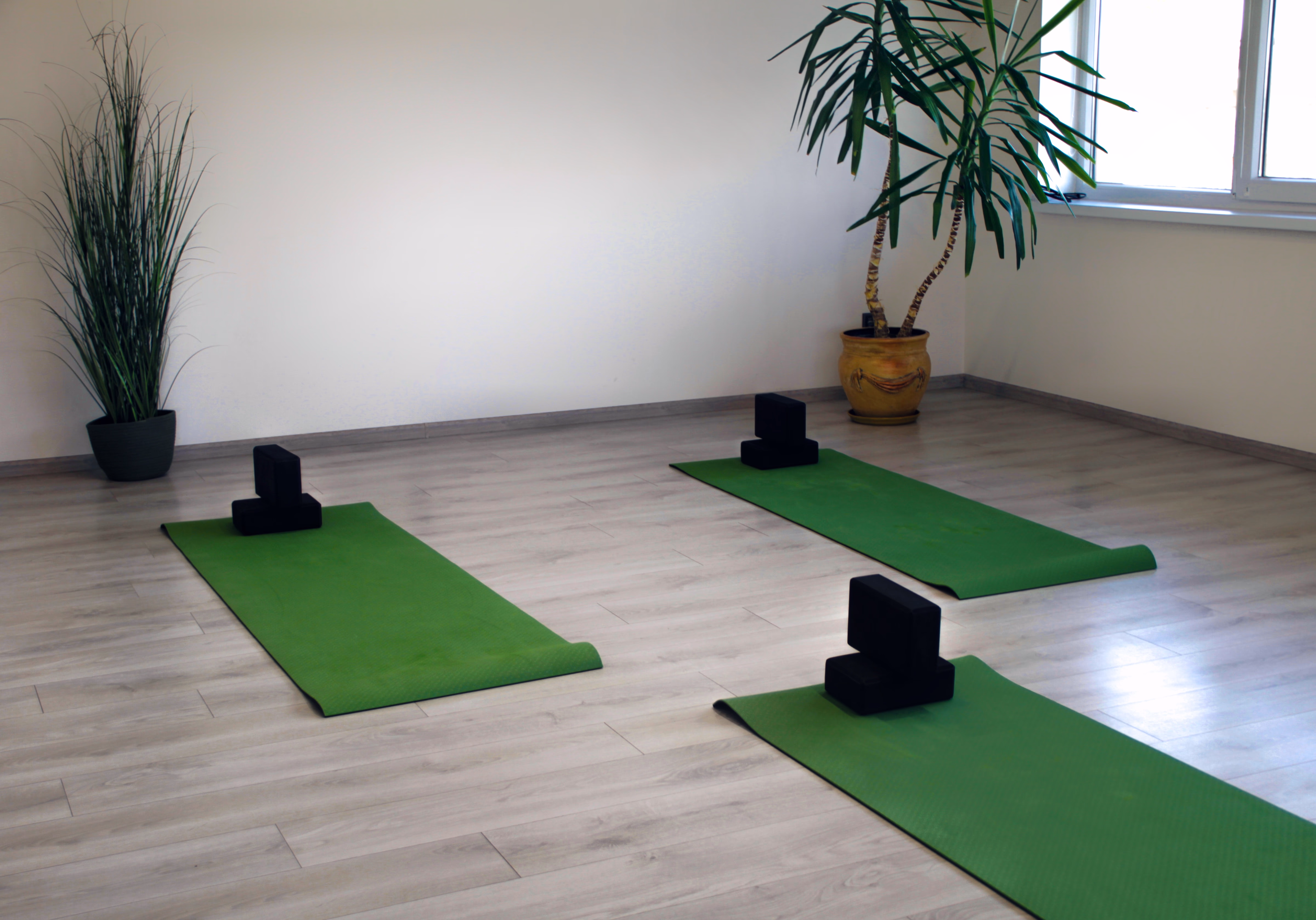 Зал з йога-килимками, блоками та рослинами біля вікна