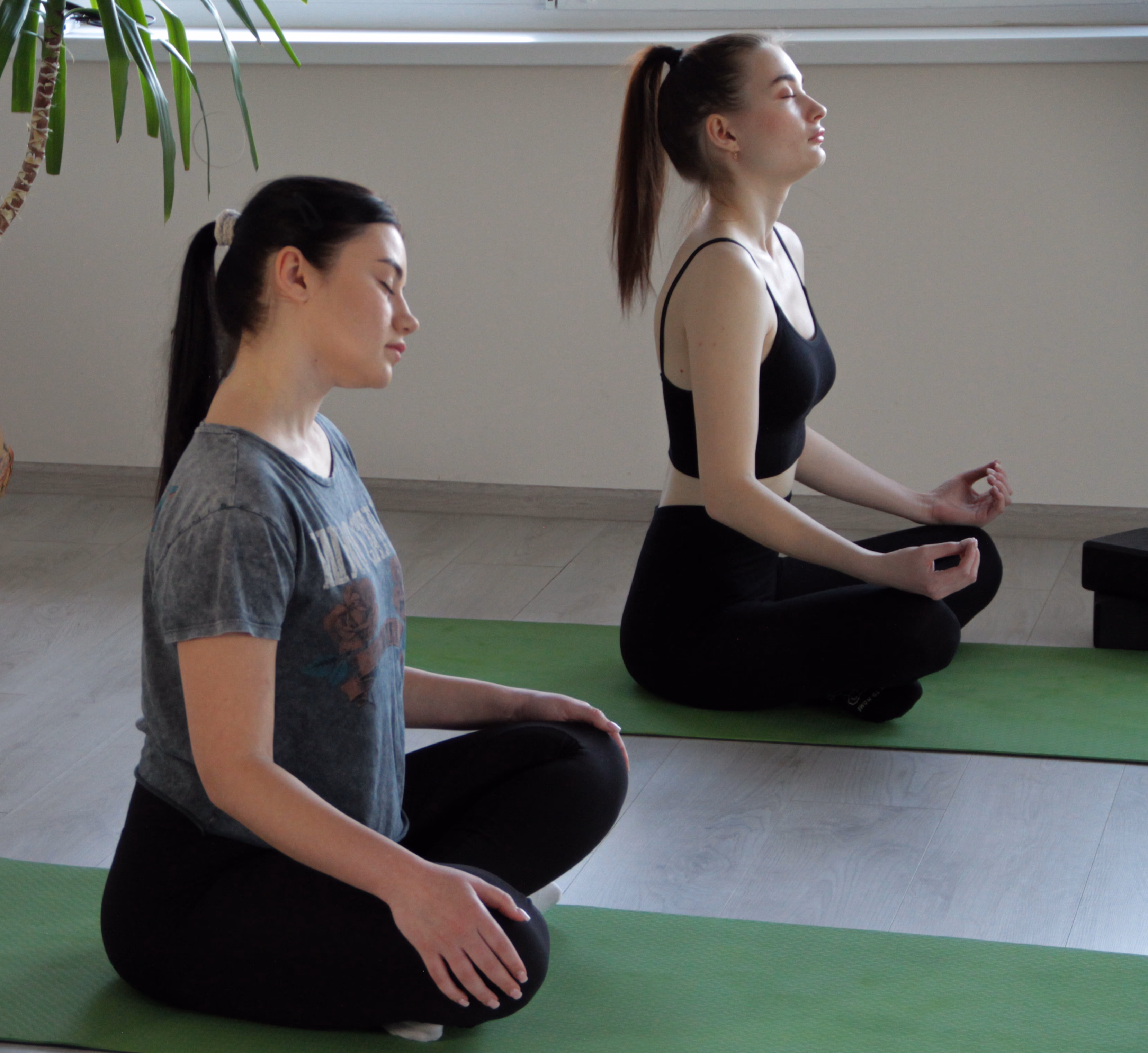 Дві учасниці медитують поруч у позі лотоса
